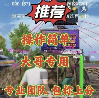 iOS和平「川崎」辅助