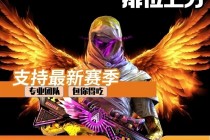 和平「COOL」辅助